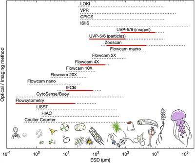 Globally Consistent Quantitative Observations of Planktonic Ecosystems